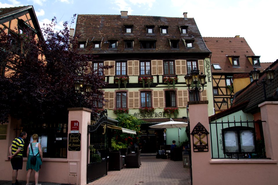 IMG 0127