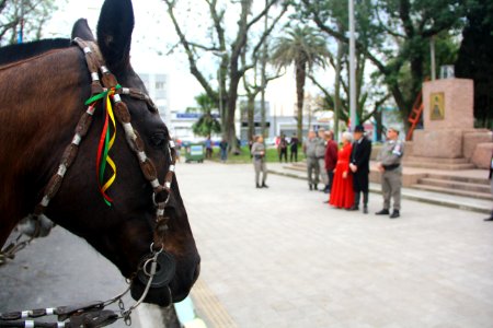 20.09.2018 - Gab Vice Prefeito - Desfile Farroupilha - Foto Marcel Avila