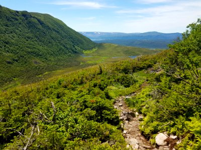 Ferry Gulch photo