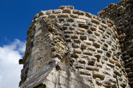 IMG 0499