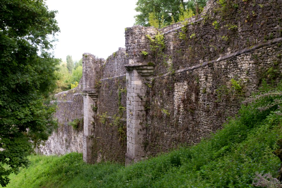 IMG 0665