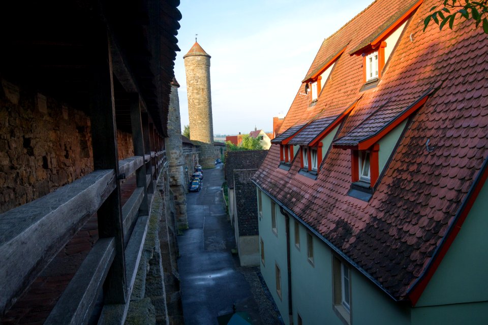 IMG 9650