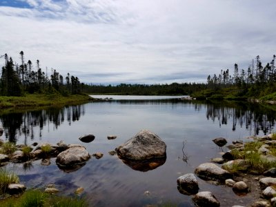 Little Pond