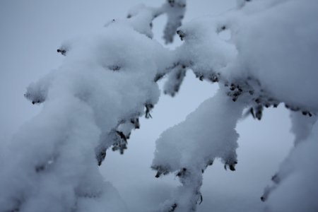 IMG 4089