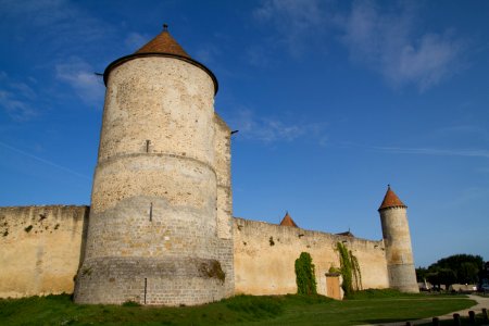 IMG 0752