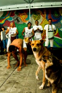 17.11.2018 - Virada Cultural - Foto: Gustavo Vara