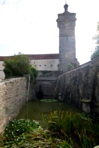 IMG 9852
