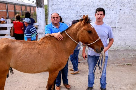 23.10.2018 Doação de Cavalos pela SSUI - Fotos Gustavo Mansur
