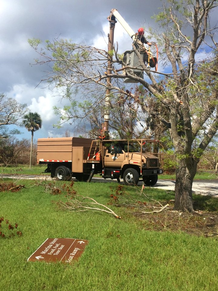 092417 Everglades National Park Arborist Team
