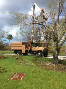 092417 Everglades National Park Arborist Team