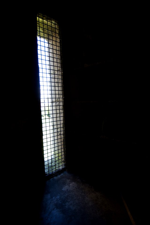 IMG 8383