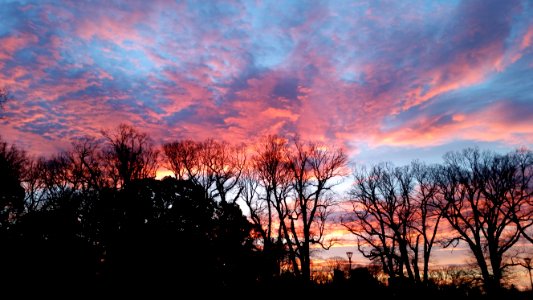 Fawkner Part at sunrise