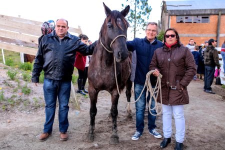 31.07.2018 Entrega de cavalos para adoção - Fotos Gustavo Mansur