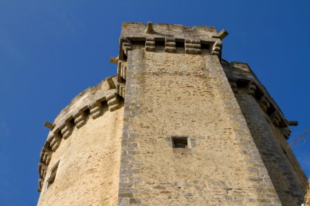 IMG 0802