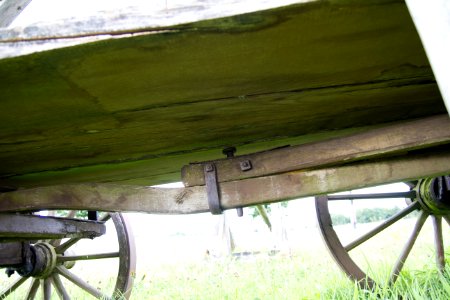 IMG 9617