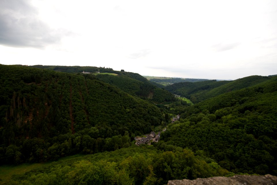 IMG 9550