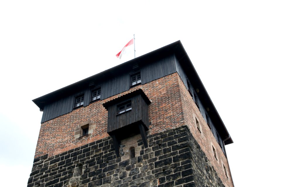 IMG 0023