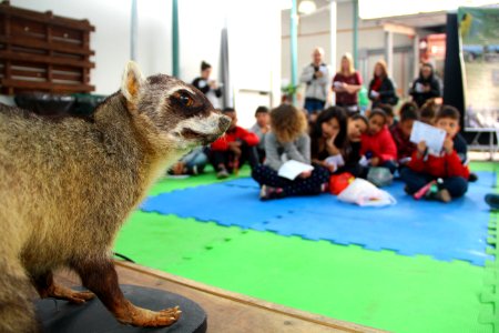 24.09.2018 - SDETI - Saber Ambiental - Foto Marcel Avila