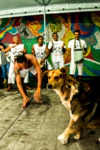 17.11.2018 - Virada Cultural - Foto: Gustavo Vara