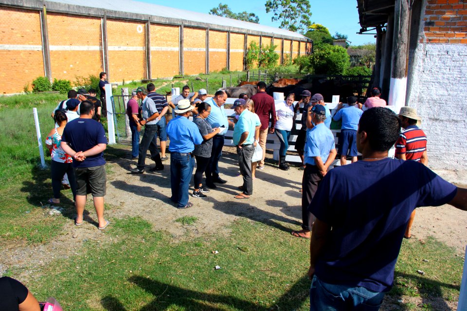 08.02.2019 - SSUI - Doação de Cavalos - Foto Marcel Avila