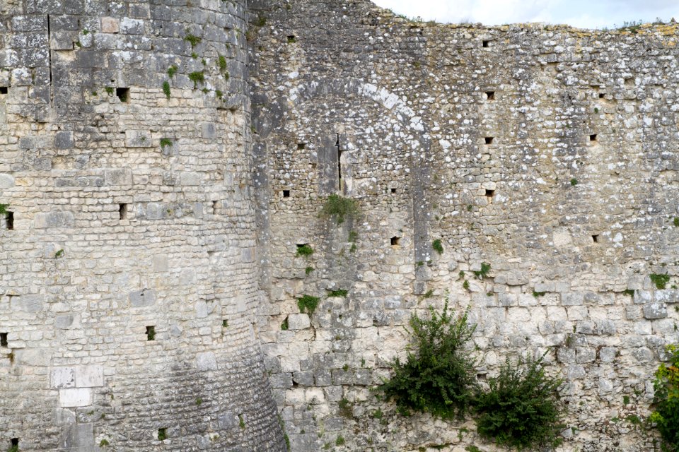 IMG 0709