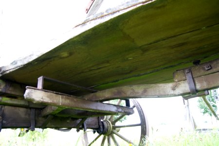 IMG 9618