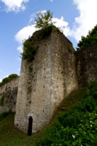 IMG 0662