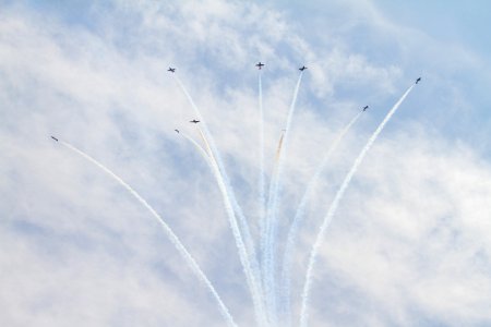 Canadian Forces Snowbirds 3