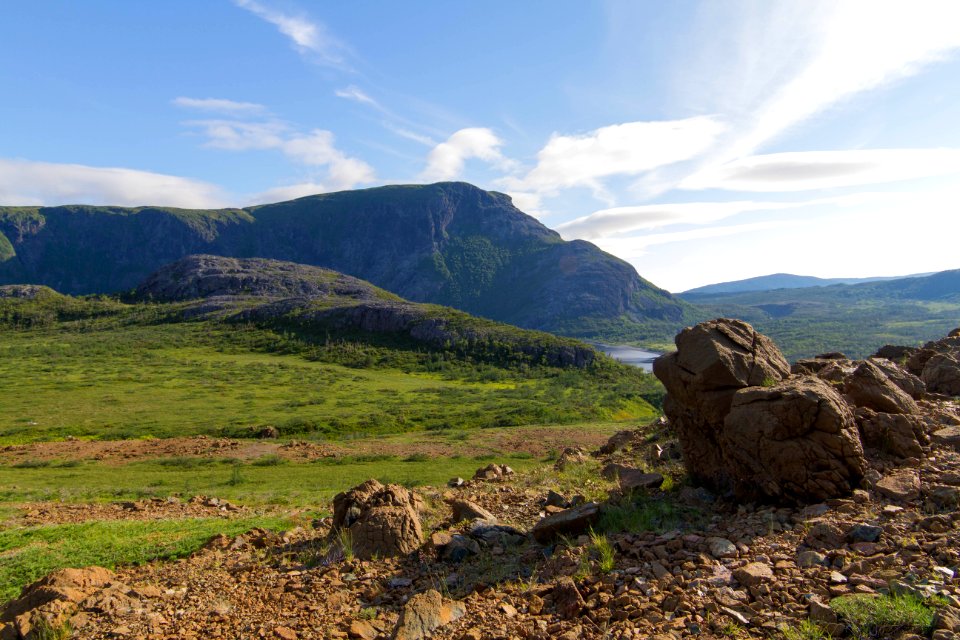 Trout River Pond