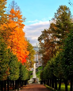 A sneak view on Peterhof Palace