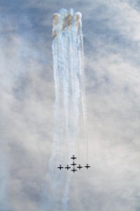 Canadian Forces Snowbirds 11