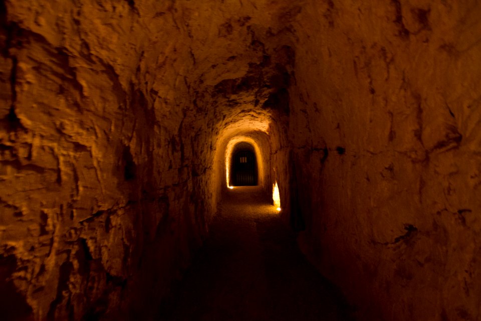 IMG 0626