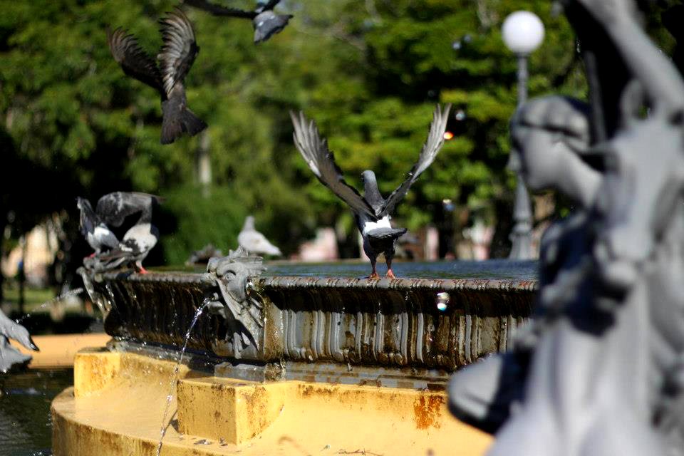 Pelotas em imagens - Foto Marcel Avila - Ascom (8)