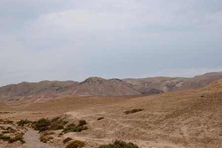 Juden desert