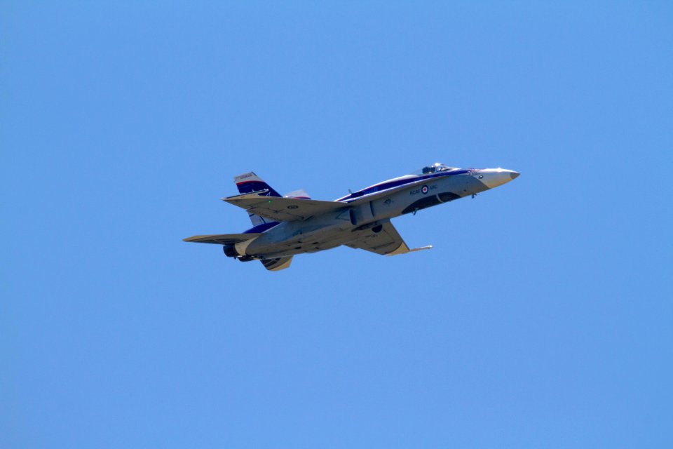 IMG 4395.jpg