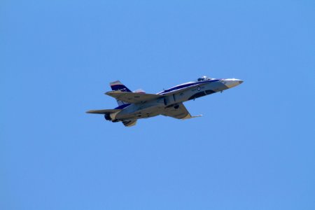 IMG 4395.jpg