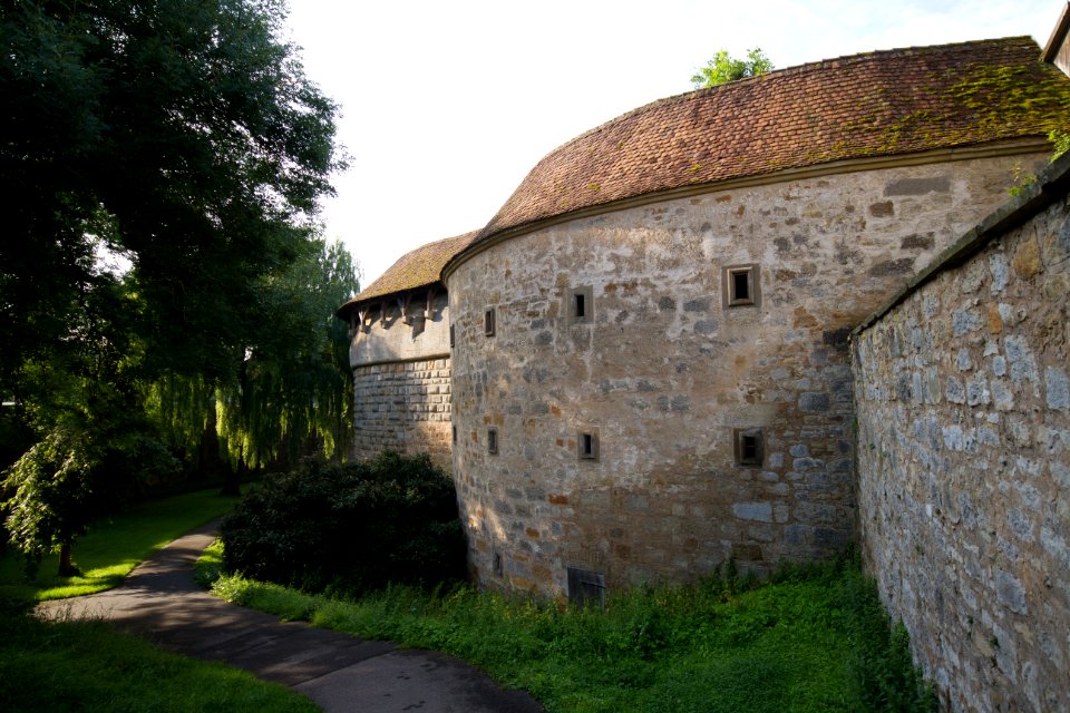 IMG 9780