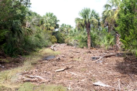 091317 Fort Pulaski Trails 014