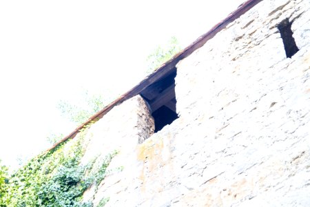 IMG 9638