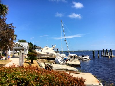 Cumberland Island NS