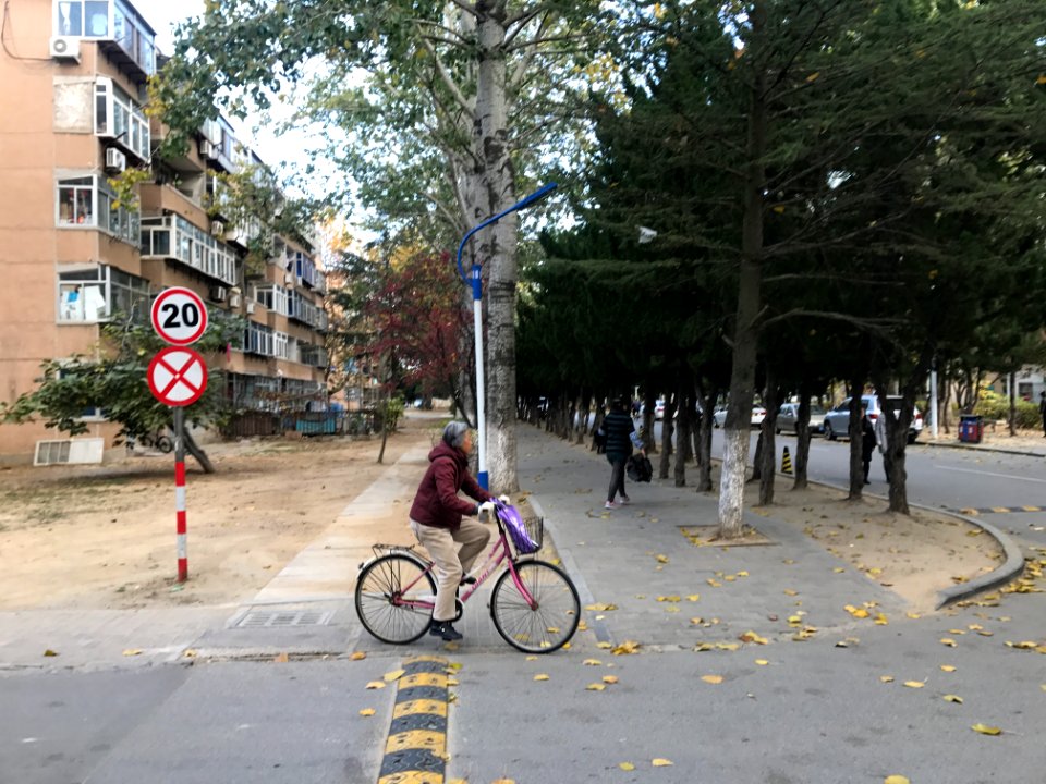2017-11-10 Yantai Old Women Bicycle Yantai Zhang Jin