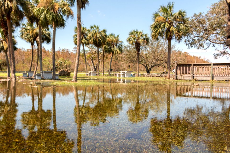 091517 BigCypress 08