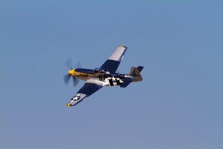 mustang away