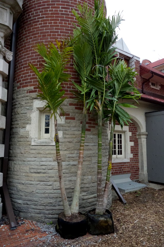 DSC01151