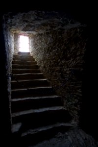 IMG 9520