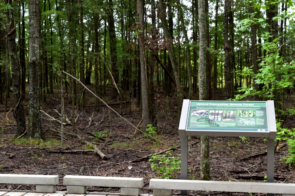scene with sign Flat Branch ncwetlands amm (9)