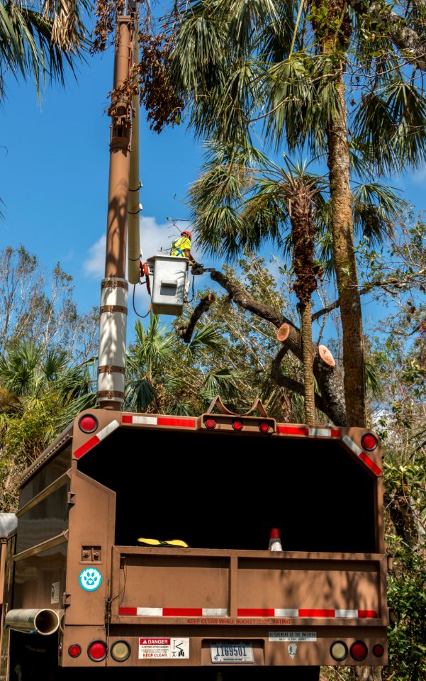 091917 BigCypress 02
