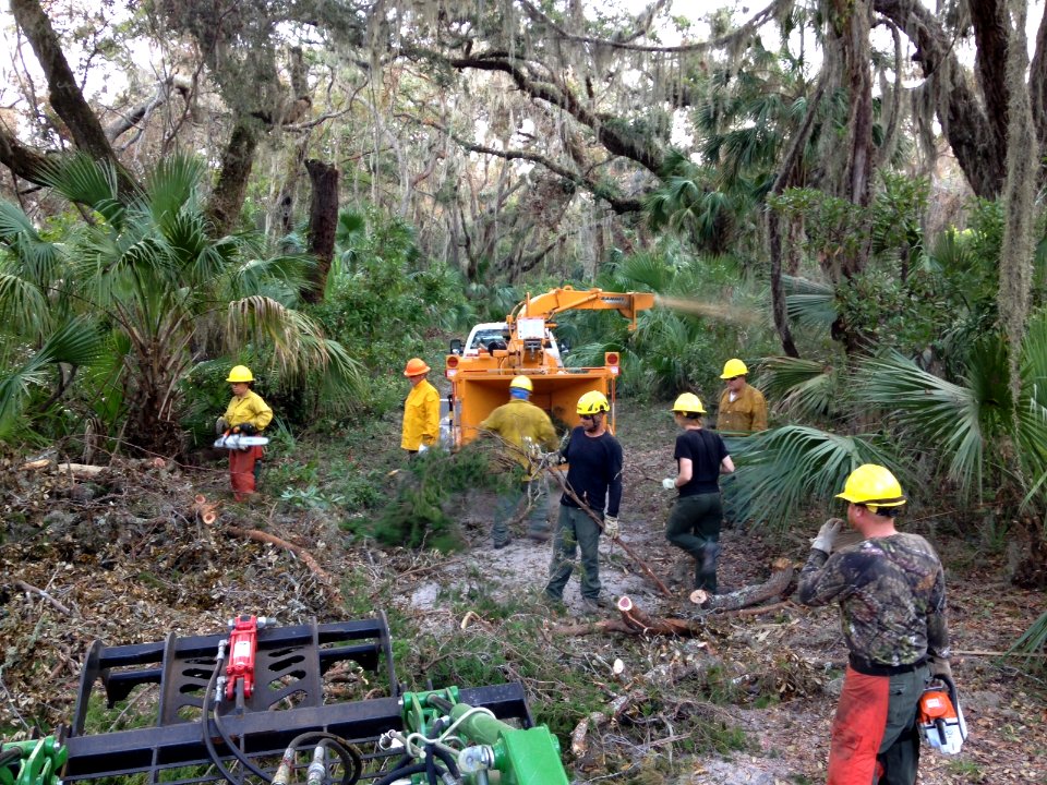 092417 Cumberland Island National Seashore