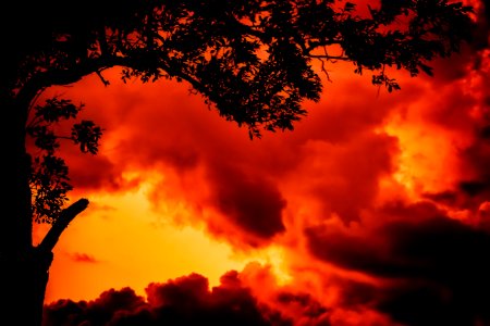 Fire Sky