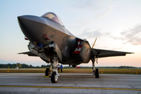 F-35 bug's eye view